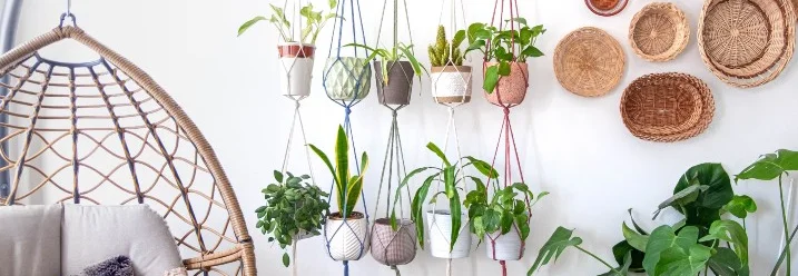 Viele Pflanzen in Makramee-Hängern